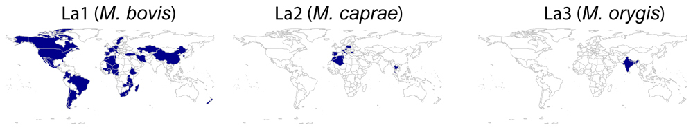 6c316dba-e181-4411-9650-de8175a77879_figure2.gif