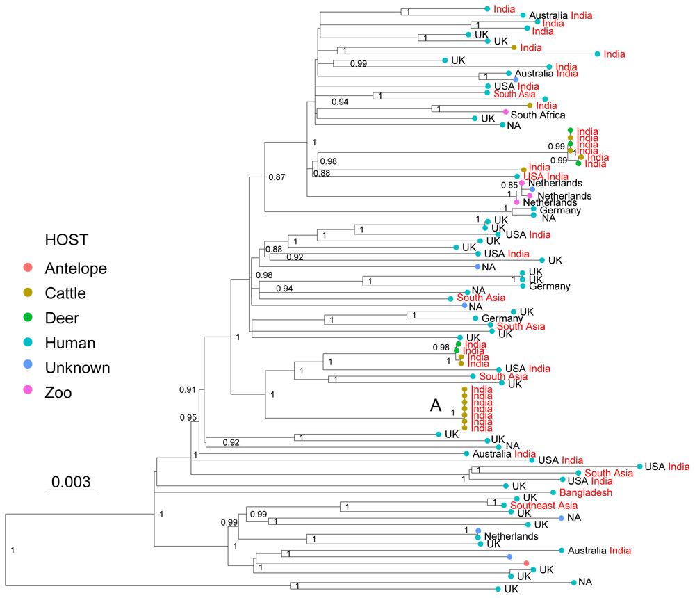 6c316dba-e181-4411-9650-de8175a77879_figure3.gif