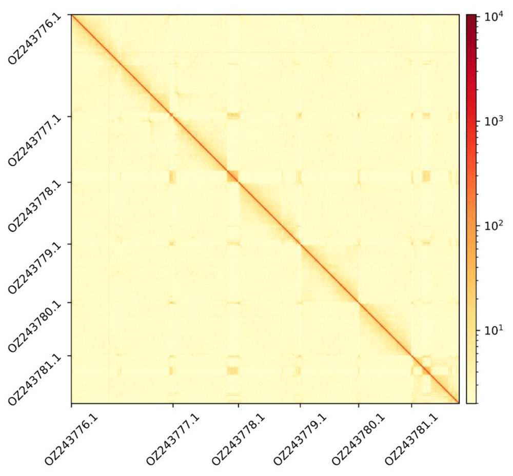 1ddd880f-c866-49d9-8e3f-42c38a06725a_figure3.gif