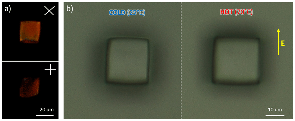 ee949851-2f6f-470e-9f42-027194cf36ee_figure5.gif