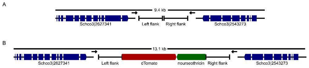 b3af843b-fcc5-4e27-8a92-d2ff4eef756e_figure1.gif