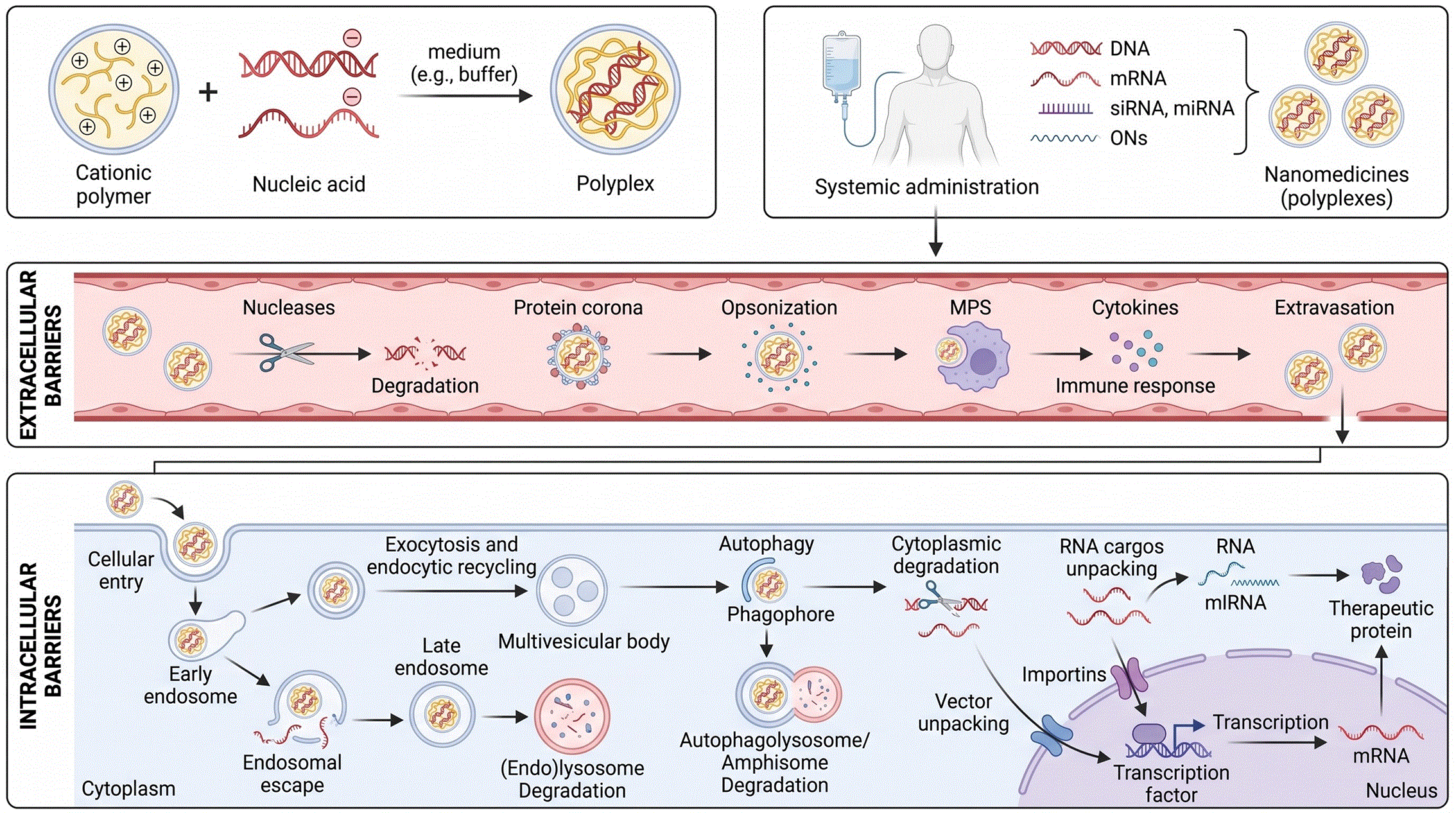 0219e502-760e-478a-ae9d-b7375da59bae_figure1.gif