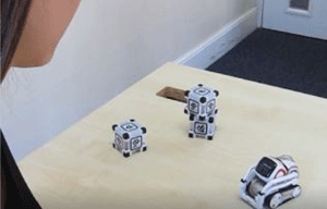 56054069-076b-43c5-bb11-2b263534d6f8_T5.gif