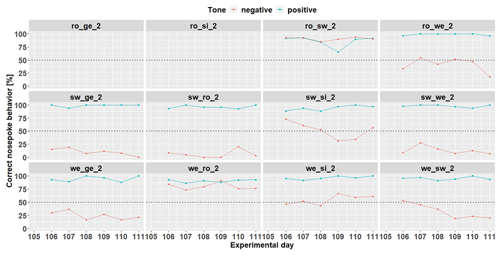 9196e31d-39a0-48df-9f94-7776ab35b3fb_figure8.gif