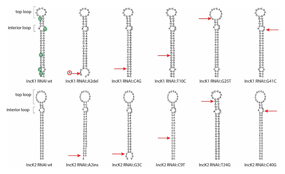 f38f909c-f488-4e33-b299-65699a6368c9_figure1.gif