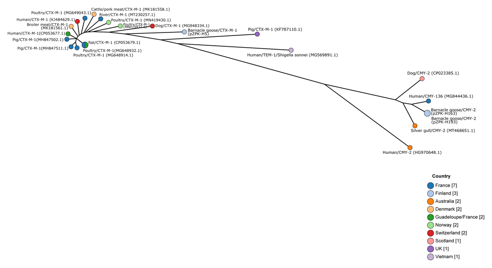 78b8b981-0410-49bc-b540-785afe0a7c7d_figure2.gif