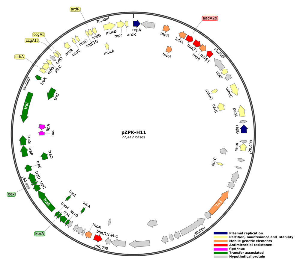 78b8b981-0410-49bc-b540-785afe0a7c7d_figure6.gif