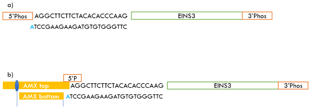 84867995-43b9-4115-984d-fc47b71e1236_figure2.gif
