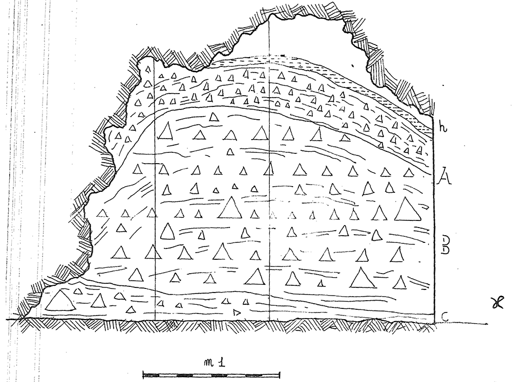 30c4e8bd-c4a1-4979-9132-c7ed04e389ed_figure21.gif