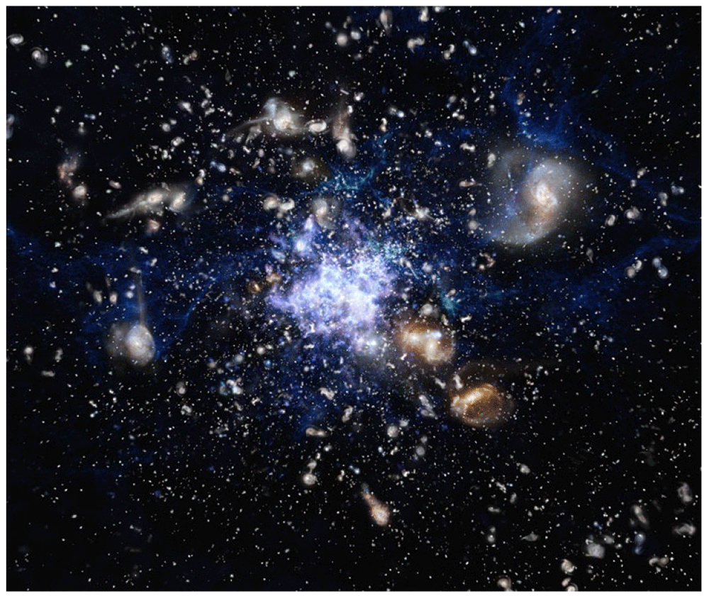 8a8628b5-0d87-4713-9b02-ef0137c78854_figure8.gif