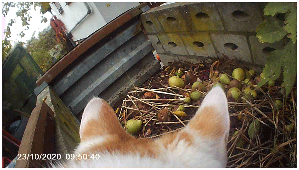 e0374881-105c-4ea4-8a79-69b467151289_figure5.gif