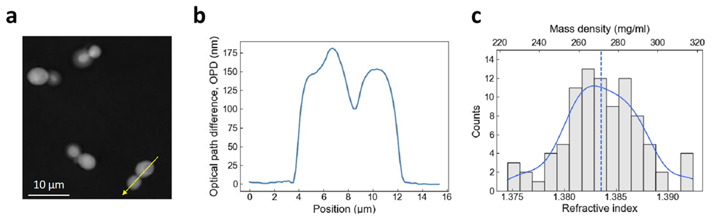 7a541b39-ac27-4d36-8247-224c5b5298df_figure1.gif