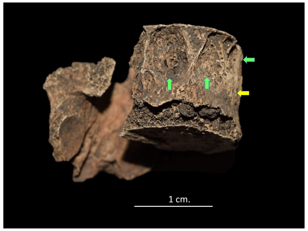 12afbf35-1783-44db-b708-10d1394df588_figure31.gif
