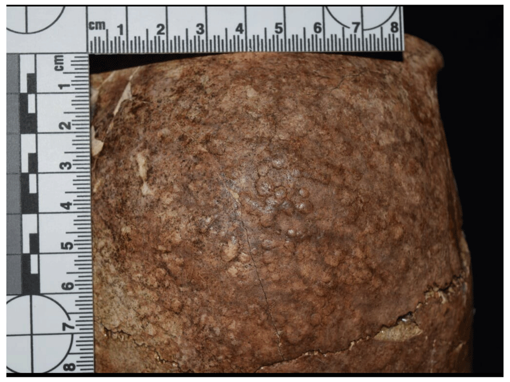 12afbf35-1783-44db-b708-10d1394df588_figure62.gif