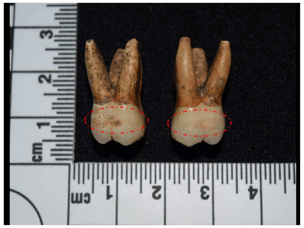 12afbf35-1783-44db-b708-10d1394df588_figure102.gif