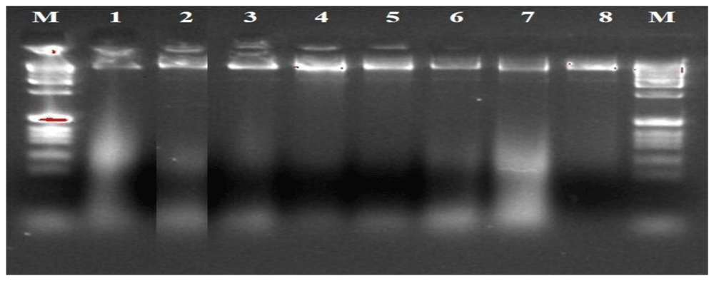 ff0b0890-51cc-4eac-a78f-9cb6ae6aa283_figure4.gif
