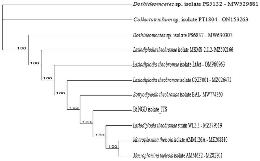 ff0b0890-51cc-4eac-a78f-9cb6ae6aa283_figure9.1.gif