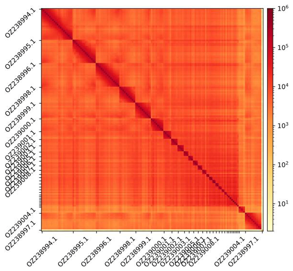 08134620-bc61-412d-83e4-303887c8c2a1_figure2.gif