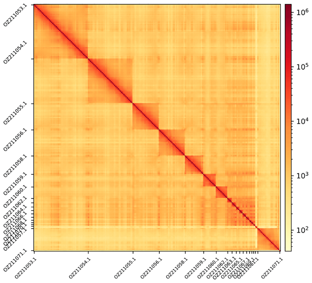 d22fb619-2c51-41e7-8149-834e574b43b3_figure3.gif
