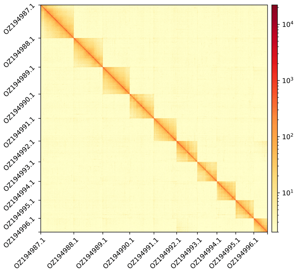 d30d6f89-17b3-4978-89a6-c23290794651_figure3.gif