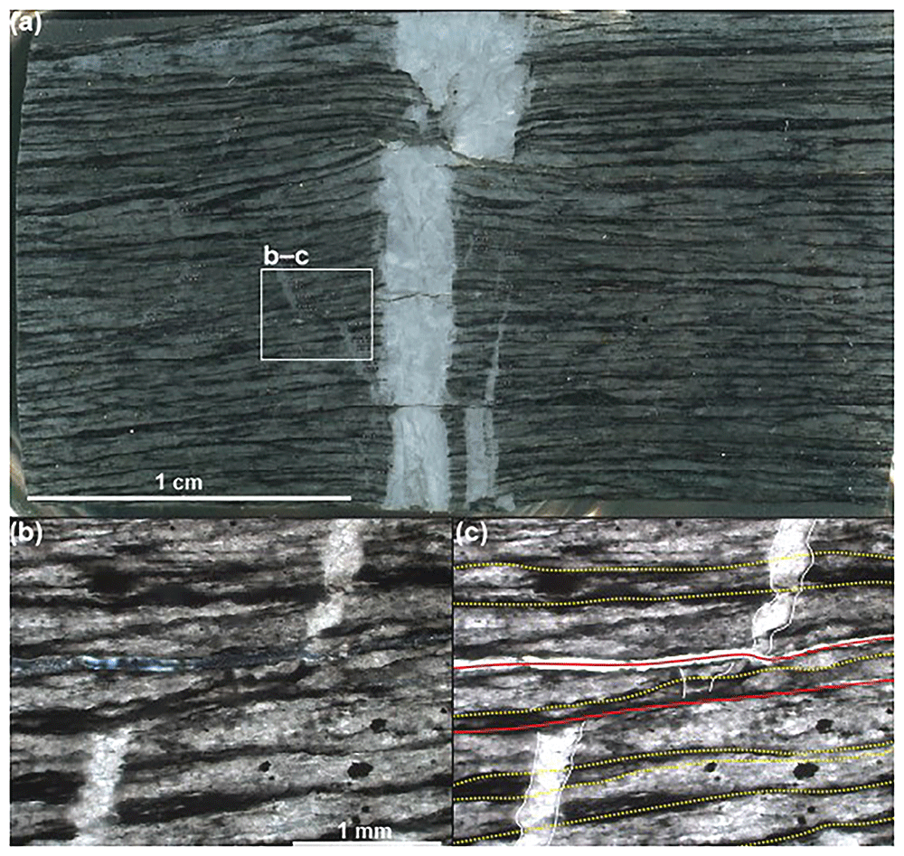 85aecff0-a721-4ec3-910e-f8ab7a9322ce_figure8.gif