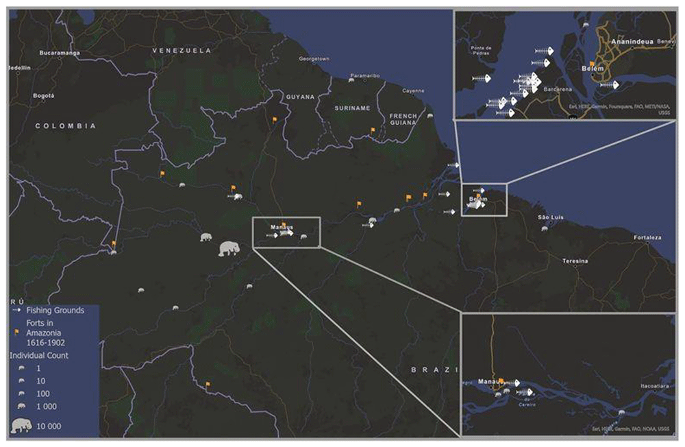 01aca6d3-374d-4ebf-bbf5-cd1e6ad7b41b_figure5.gif