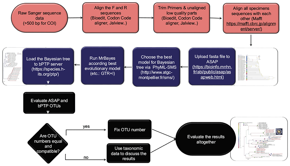 01c5a9cb-d0ef-434e-bd11-f462fc8518c3_figure8.gif