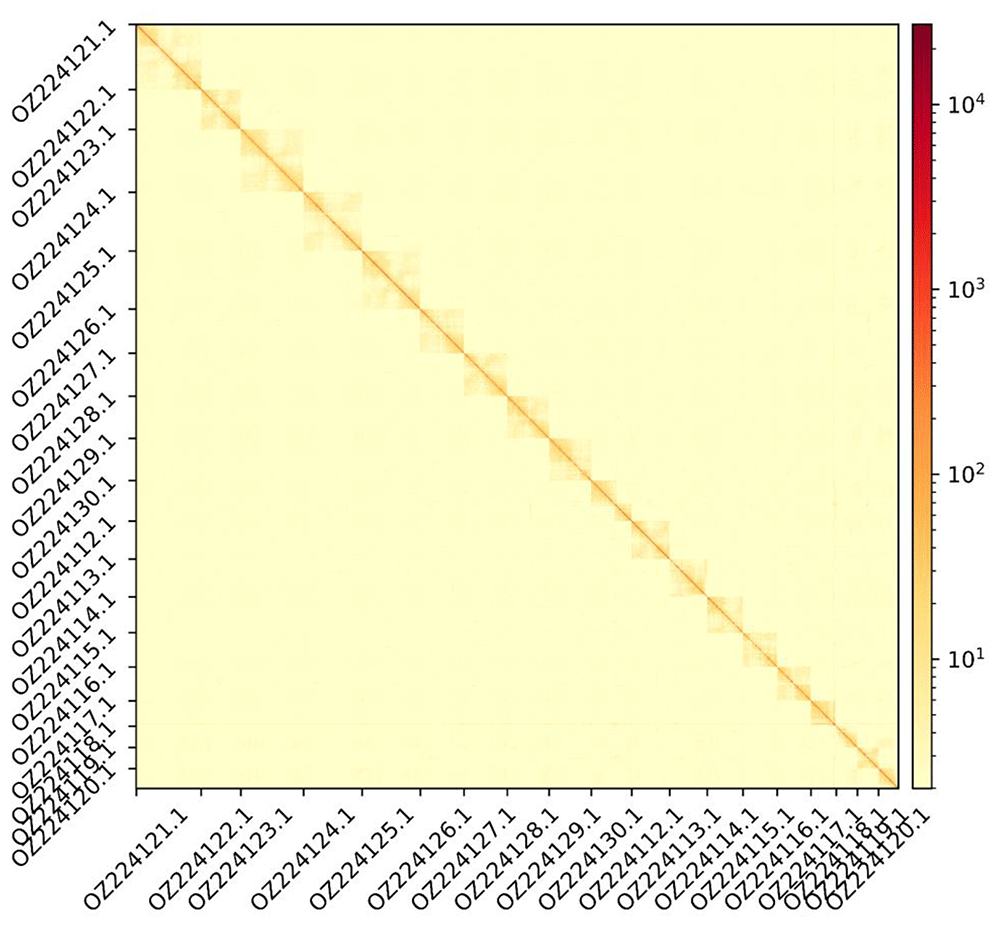 28f1a82b-2a64-4731-9c05-5497a7899177_figure2.gif