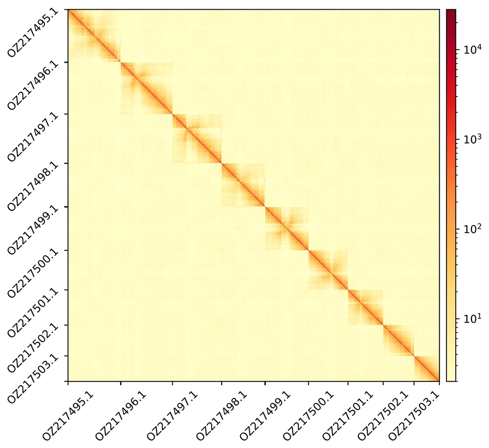 c19489a7-a8bb-4ebe-8363-68af88d268ed_figure3.gif