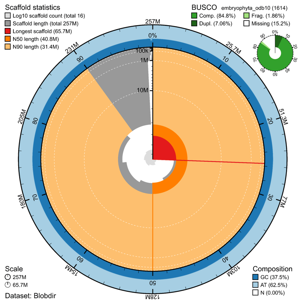 1ddd880f-c866-49d9-8e3f-42c38a06725a_figure1.gif