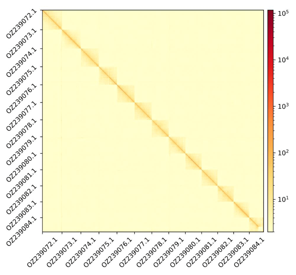 067cc8e0-b737-45c4-adfd-aeaa0c66f714_figure2.gif