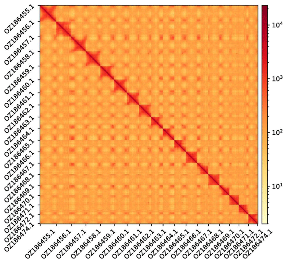 3bf2f4ae-1a4e-43b1-a2e5-386f05ccb651_figure2.gif