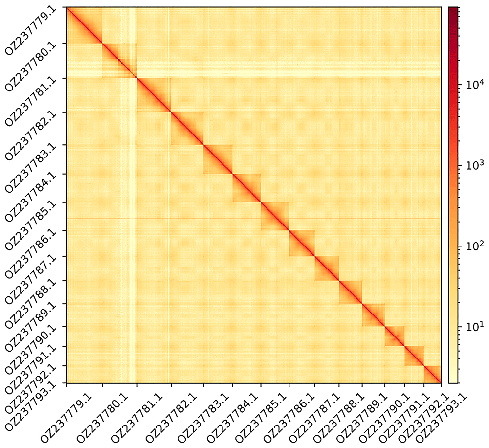 50ae2b49-ab77-42b8-aa45-0c64491da7bf_figure3.gif