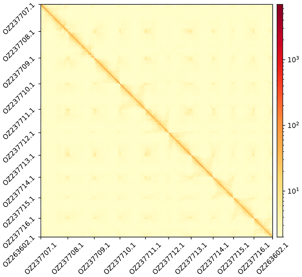 a5c478a7-84ac-4186-ae25-fde860d7439a_figure2.gif