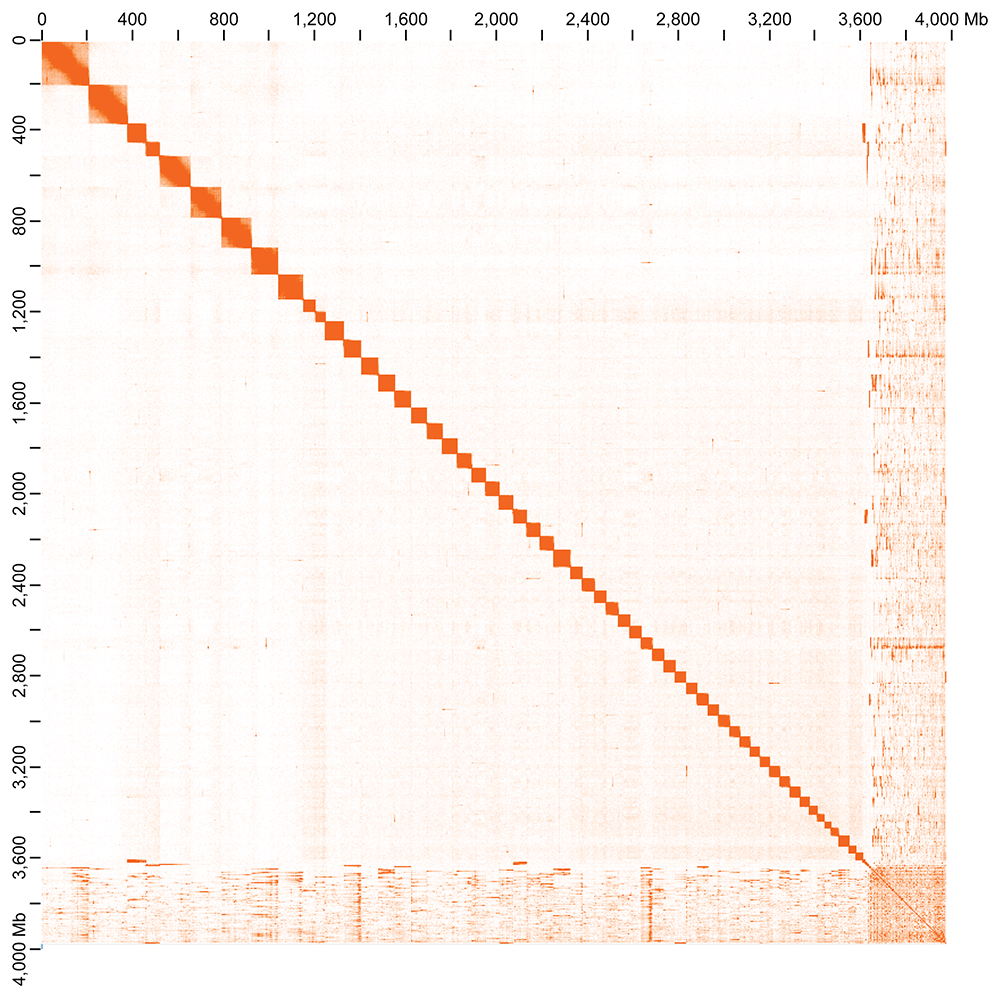6ad1067c-5d5f-4991-9641-0c0be6d77d77_figure4.gif