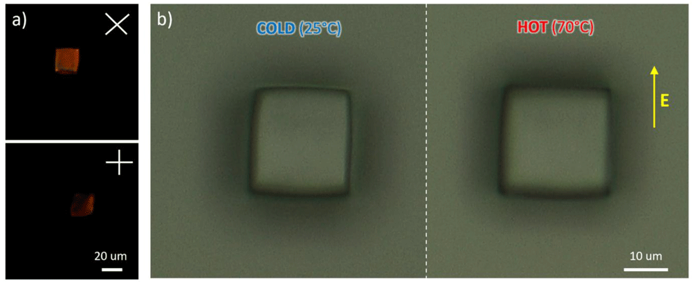 43b2ccb3-18ff-4de3-a9c6-f871fe612c61_figure5.gif
