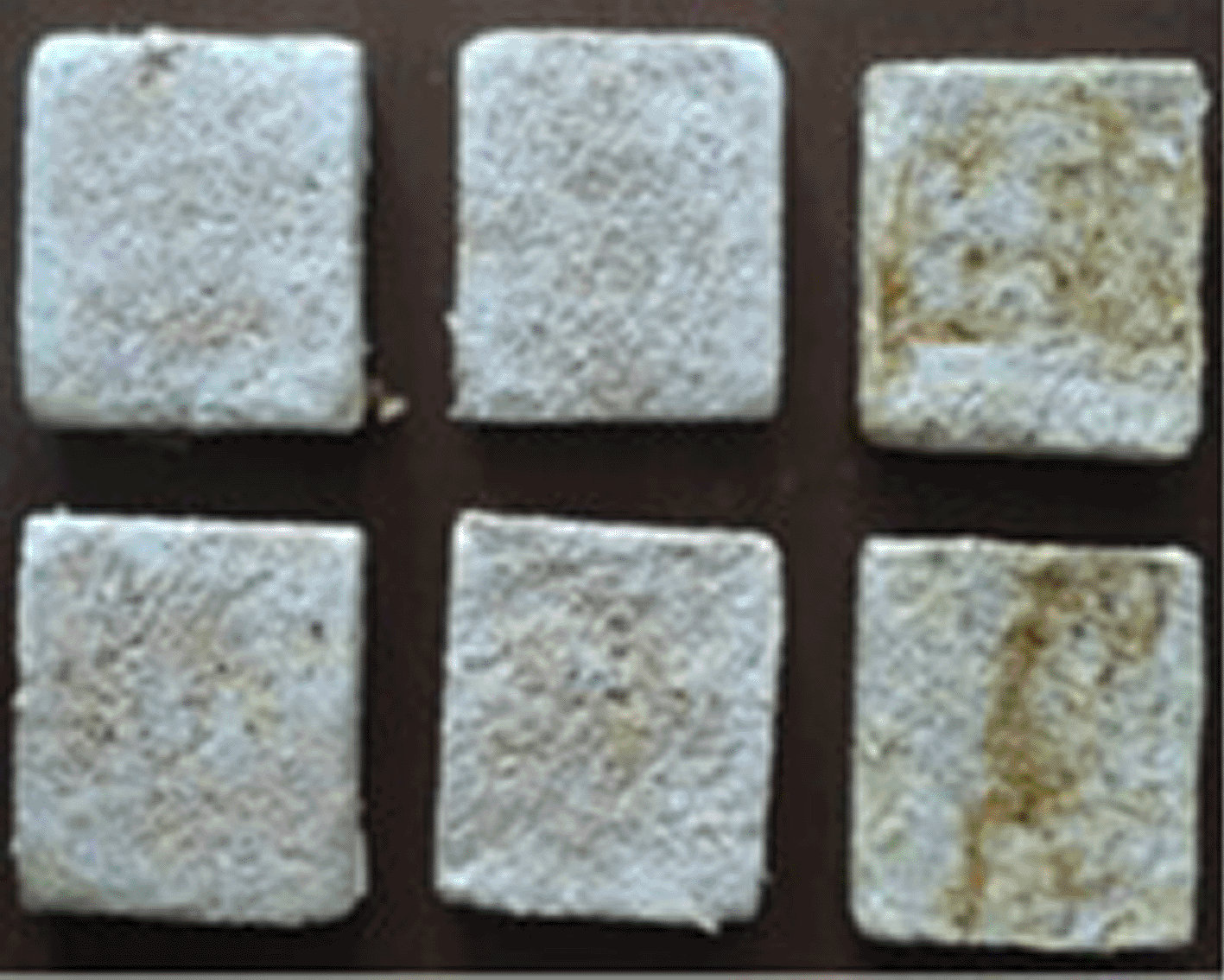 8cbeed6e-3a8a-49cc-ab35-79dfe104e11d_figure3.gif