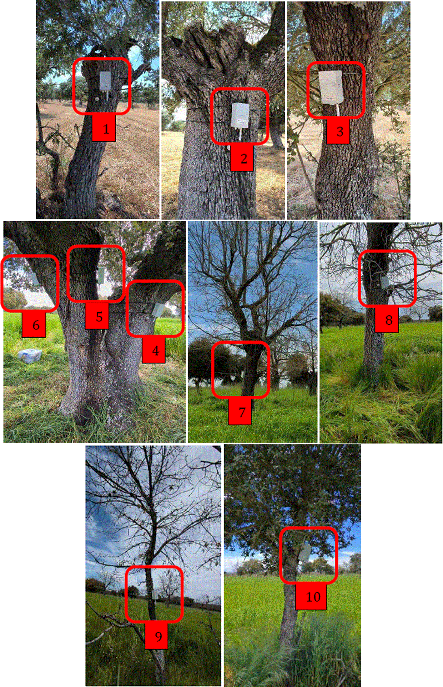 cc77ff25-6305-42cd-bd56-13730bd8fe53_figure8.gif
