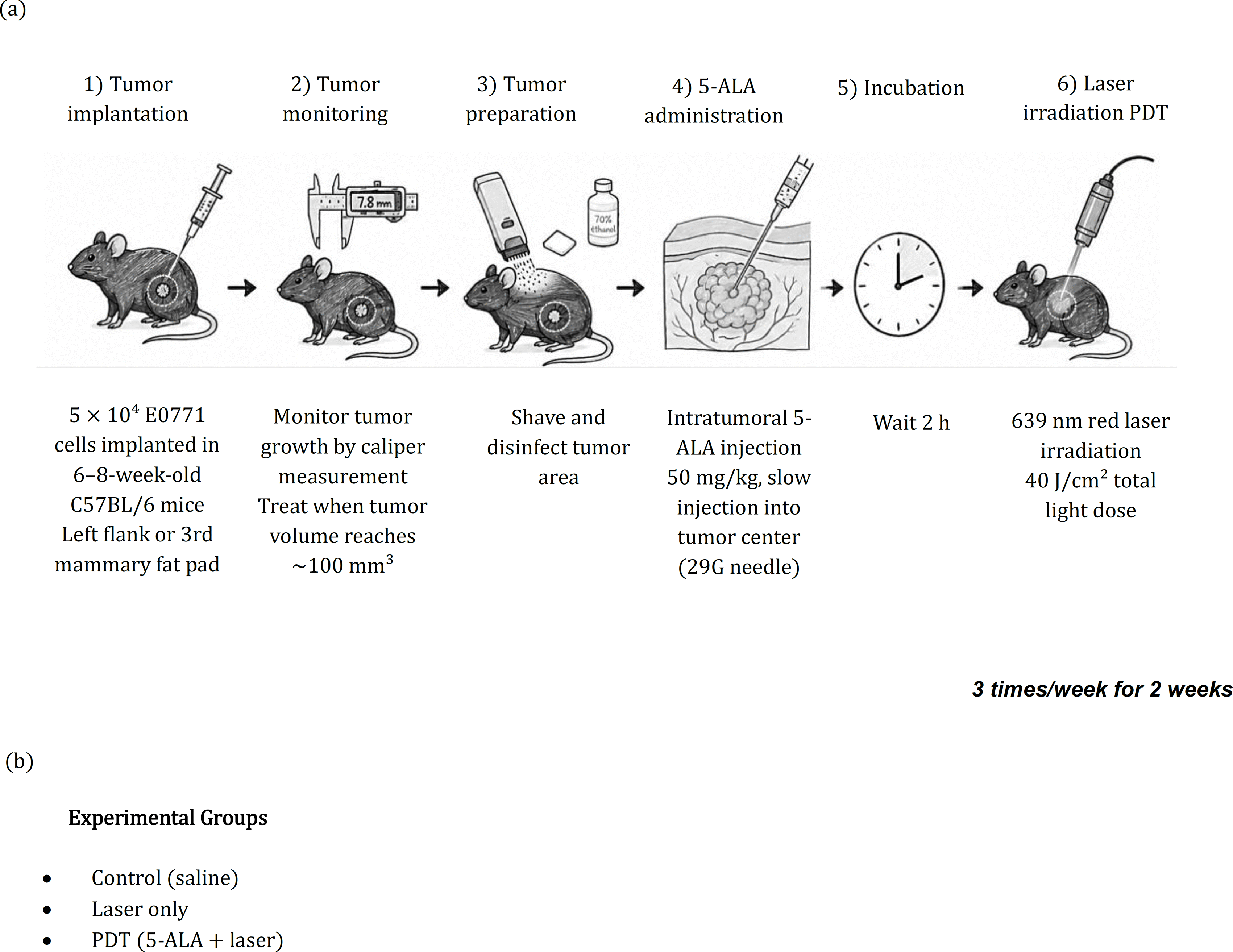 71592b6c-754c-47cb-8291-330b1762cb3c_figure1.gif