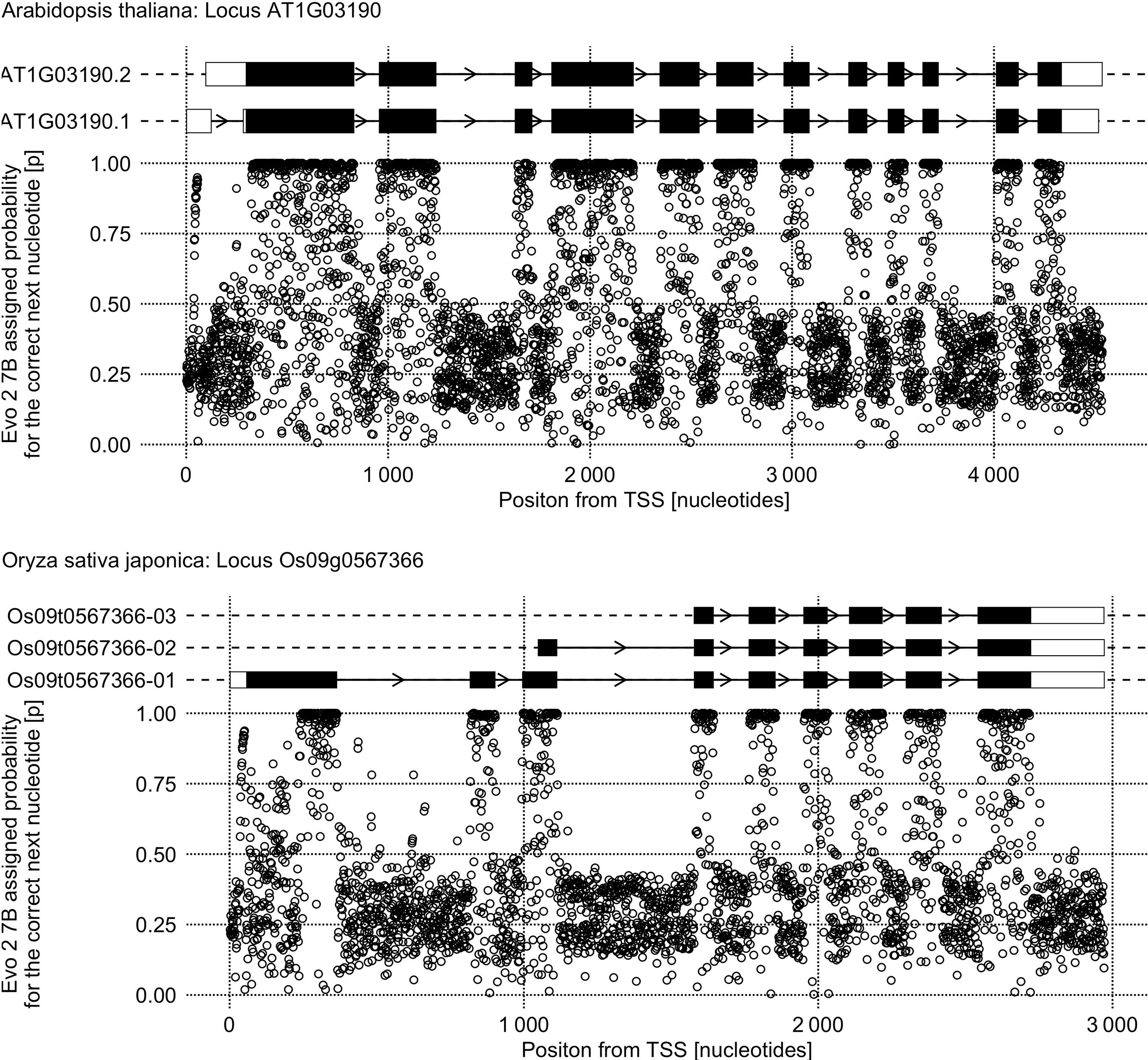 2110fd6c-2878-4f8b-bc46-83e4ae3c824f_figure1.gif