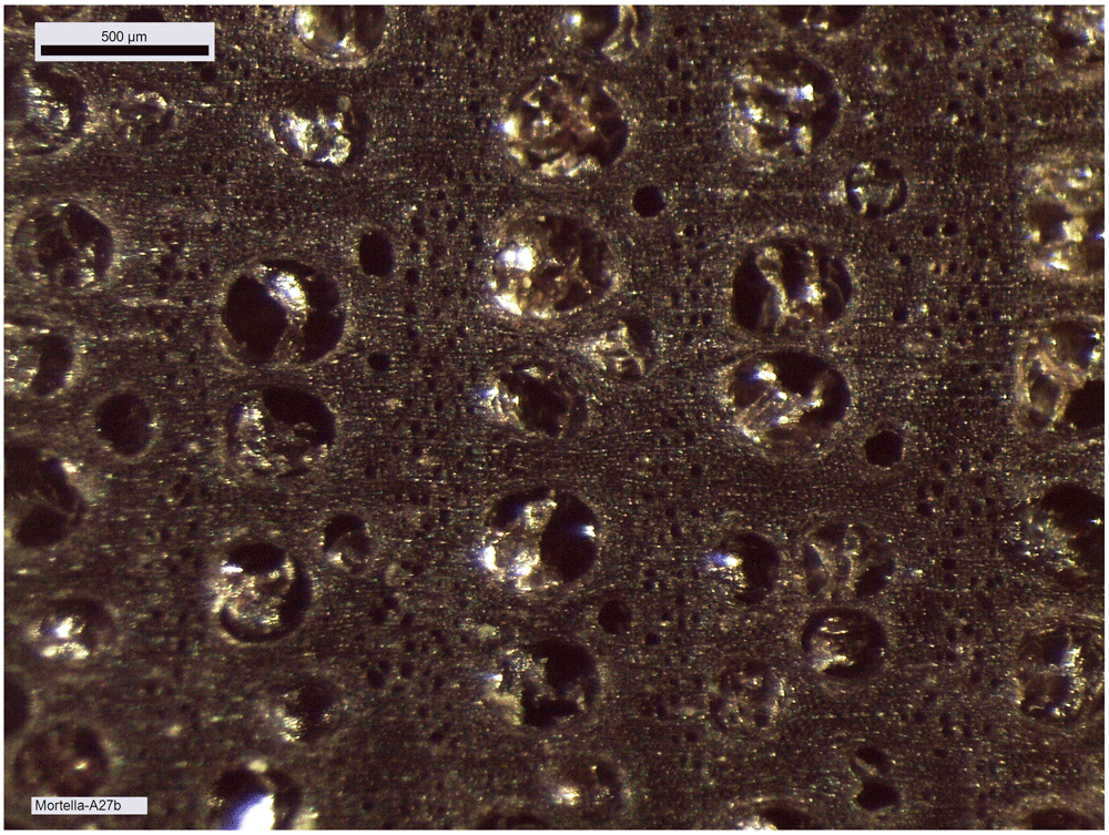 c8375b30-8d5d-494a-ba26-28202373605f_figure20.gif