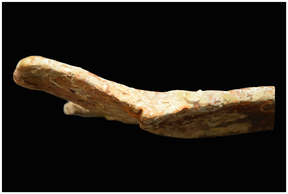 c8375b30-8d5d-494a-ba26-28202373605f_figure39.gif