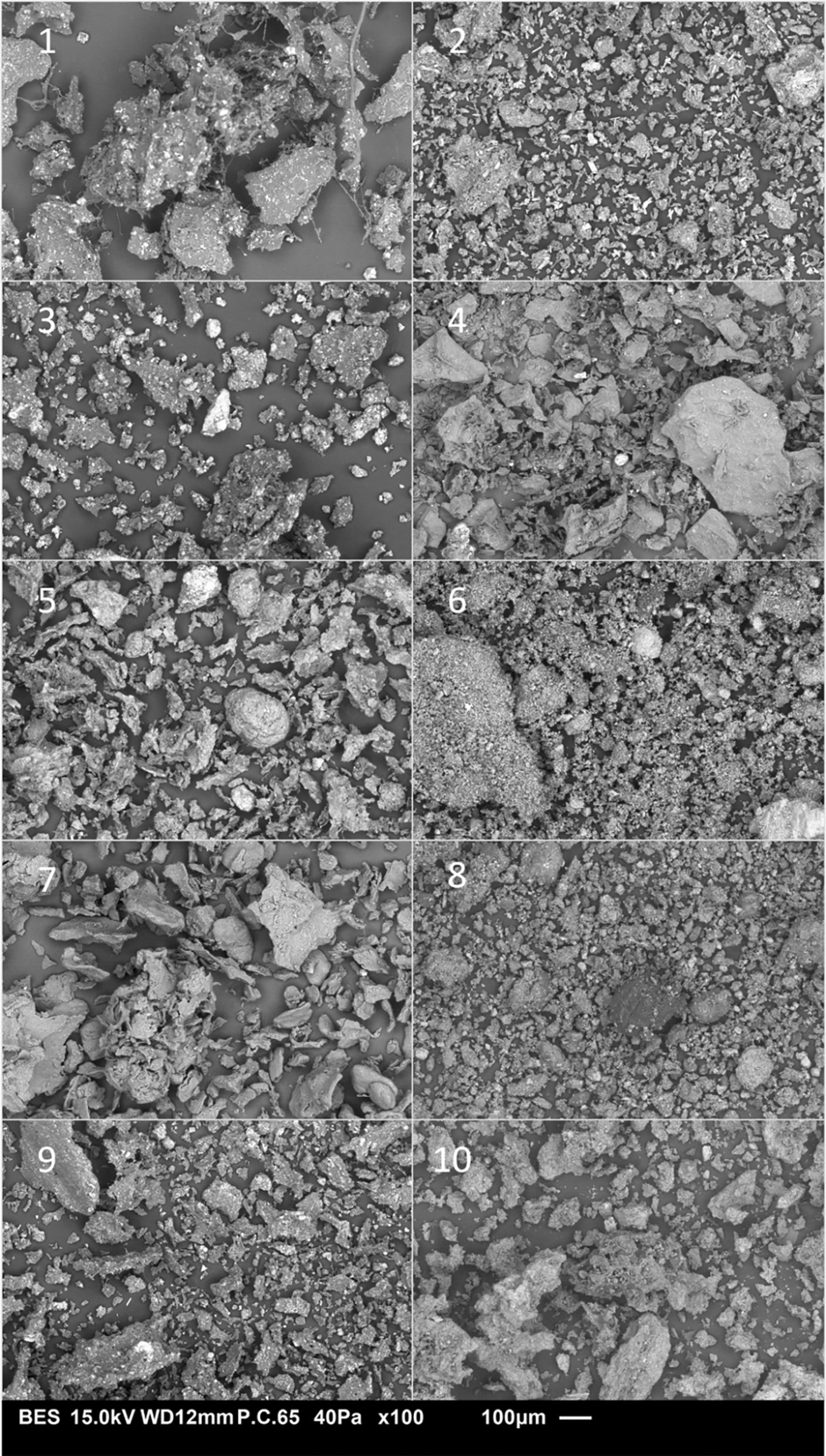 8513a9ad-8d02-488e-96e4-a70f331ca207_figure2.gif