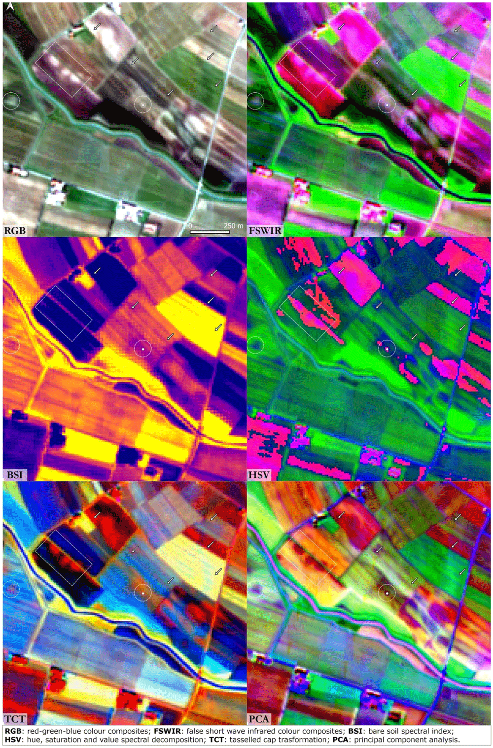 66518db3-4c1d-4e77-8d5e-8092b4cde999_figure5.gif