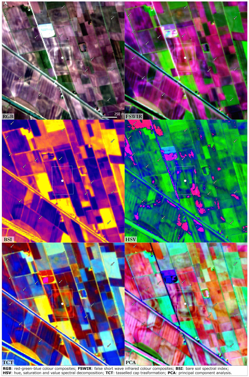 66518db3-4c1d-4e77-8d5e-8092b4cde999_figure6.gif