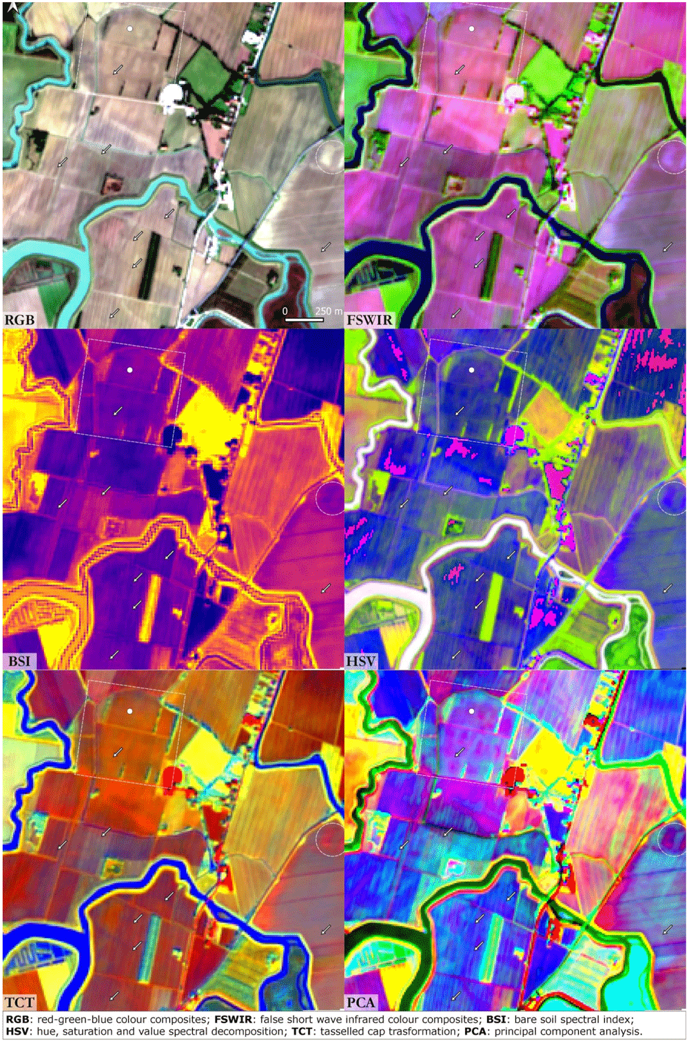 66518db3-4c1d-4e77-8d5e-8092b4cde999_figure8.gif