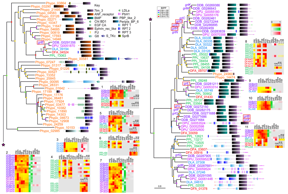bf108a4b-40f1-438f-abe8-ad06fbe5d242_figure3.gif