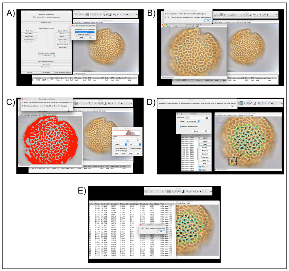 222fb8f9-a3fb-421e-bfea-82a5ba5d75f0_figure4.gif