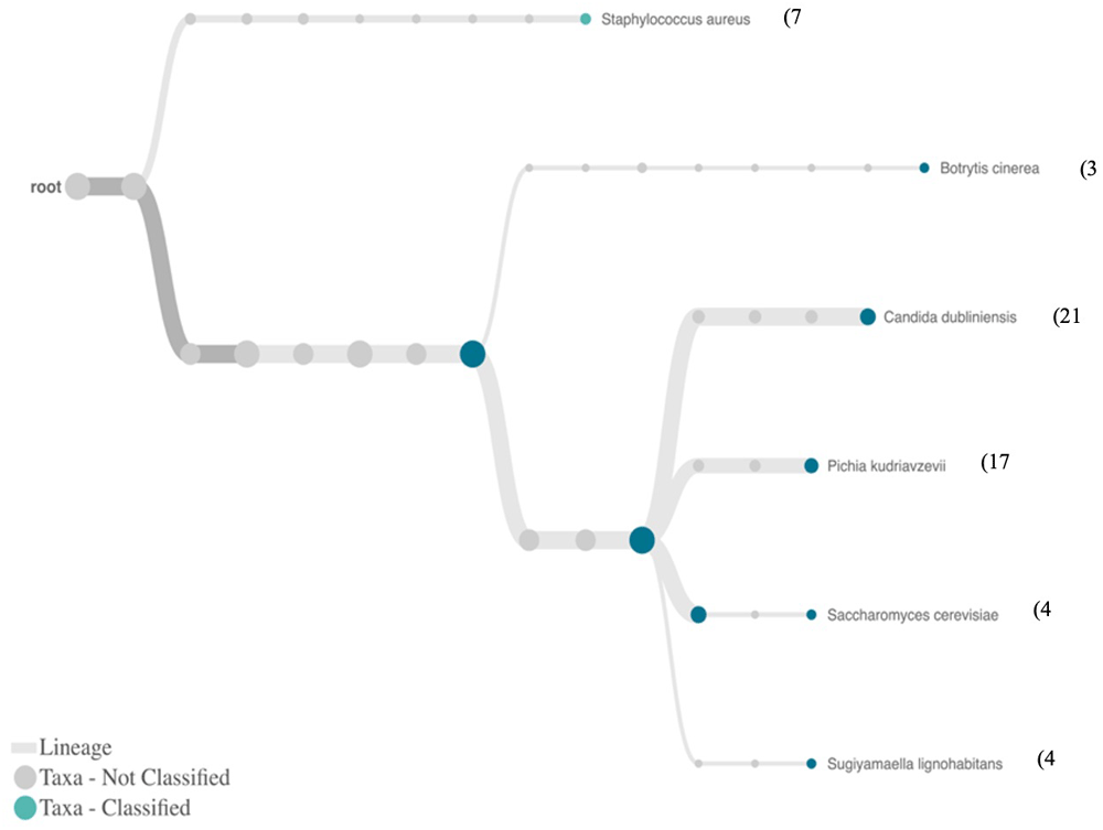 36312b01-814b-43f6-92d7-85a22e21fbc8_figure1.gif
