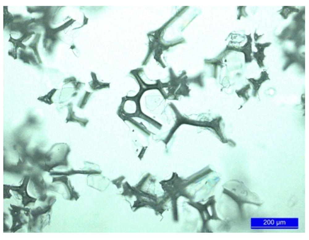 1bdd2ae9-7b9b-45f9-a47c-61b20537b804_figure2.gif